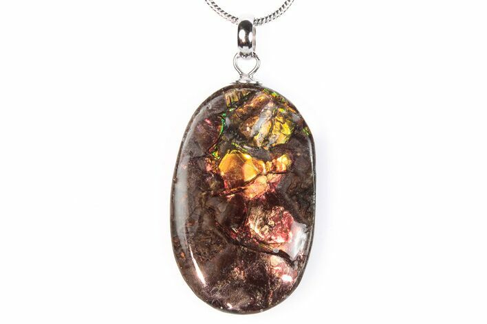 Brilliant Ammolite Pendant (Necklace) - Alberta, Canada #290124